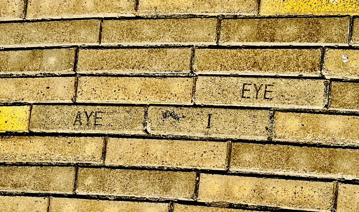 𝐊𝐞𝐥𝐬𝐞𝐲 𝐖𝐡𝐞𝐥𝐚𝐧 tweet media