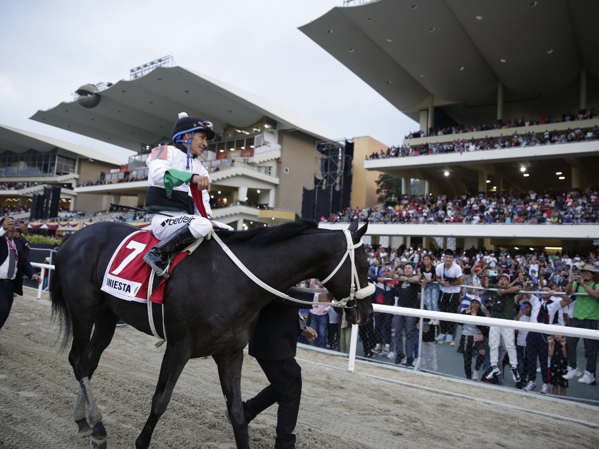 blindadosalas1's tweet photo. #Hipismo #CrónicasDelClásicoDelCaribe El 11/12/2022 INIESTA 🇲🇽 con PACO LÓPEZ en la silla, derrotó a LYNDACARTER 🇻🇪 en el muy emotivo #ClásicoDelCaribe ante un ambiente de fiesta en #LaRinconada OSCAR GONZÁLEZ 🇻🇪 fue su preparador. Los #Manitos llegaron a 14 triunfos de por vida. https://t.co/rTL7WIadqo