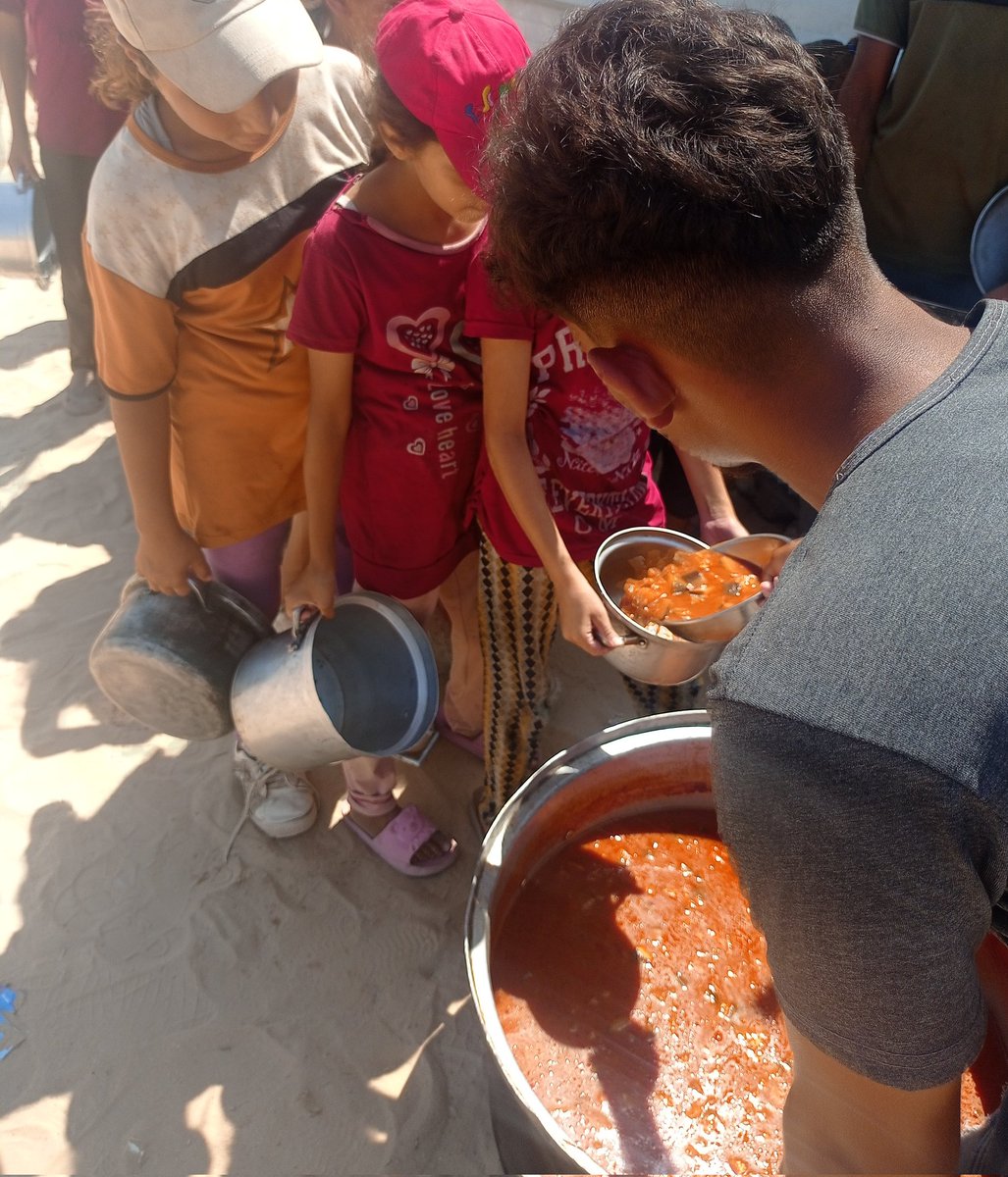 Lawyer_Animal1's tweet photo. Gaza is reeling from Israel’s brutal extermination campaign but, thank God and your generosity, our free kitchen was able to feed all 400+ children a nutritious meal of eggplant in tomato sauce. I feel relieved.

Donations to https://t.co/jgK0mrwBbk since PayPal shut us down. https://t.co/4KDRra5iZ2