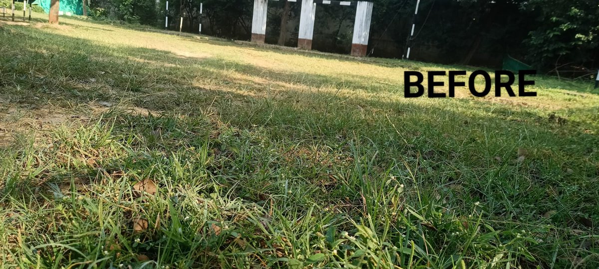 CRPF 62 BN (@62crpf) on Twitter photo 62BN CRPF Mass Cleanliness drive at HQ/62BN Ambikapur, Chattisgarh under the agies of Special Campaign 4.0 #SpecialCampaign4
<a href="/crpfindia/">🇮🇳CRPF🇮🇳</a>
<a href="/HMOIndia/">गृहमंत्री कार्यालय, HMO India</a>
<a href="/PIBHomeAffairs/">Spokesperson, Ministry of Home Affairs</a>
<a href="/PMOIndia/">PMO India</a> 62BN CRPF Mass Cleanliness drive at HQ/62BN Ambikapur, Chattisgarh under the agies of Special Campaign 4.0 #SpecialCampaign4
<a href="/crpfindia/">🇮🇳CRPF🇮🇳</a>
<a href="/HMOIndia/">गृहमंत्री कार्यालय, HMO India</a>
<a href="/PIBHomeAffairs/">Spokesperson, Ministry of Home Affairs</a>
<a href="/PMOIndia/">PMO India</a>