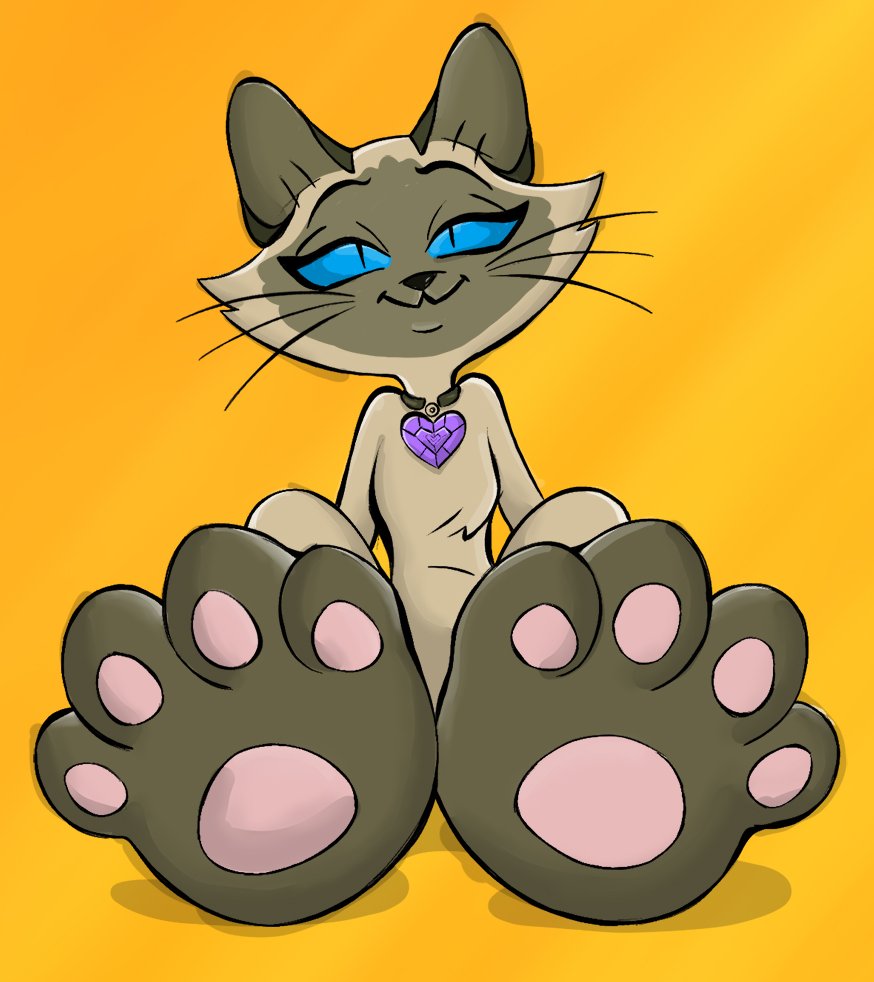 JazzmineBudge's tweet photo. Its #toebeantuesday. You are required to show your #toebeans today. If you are one of my #followers and you do not have a cat to show toe beans... you must find a #randomcat on the street and take pictures of its toe beans (and then take it home the cat is now yours for life even if it already has a collar with a name and phone number). Its how the cat #redistribution system works. #meowmeow
