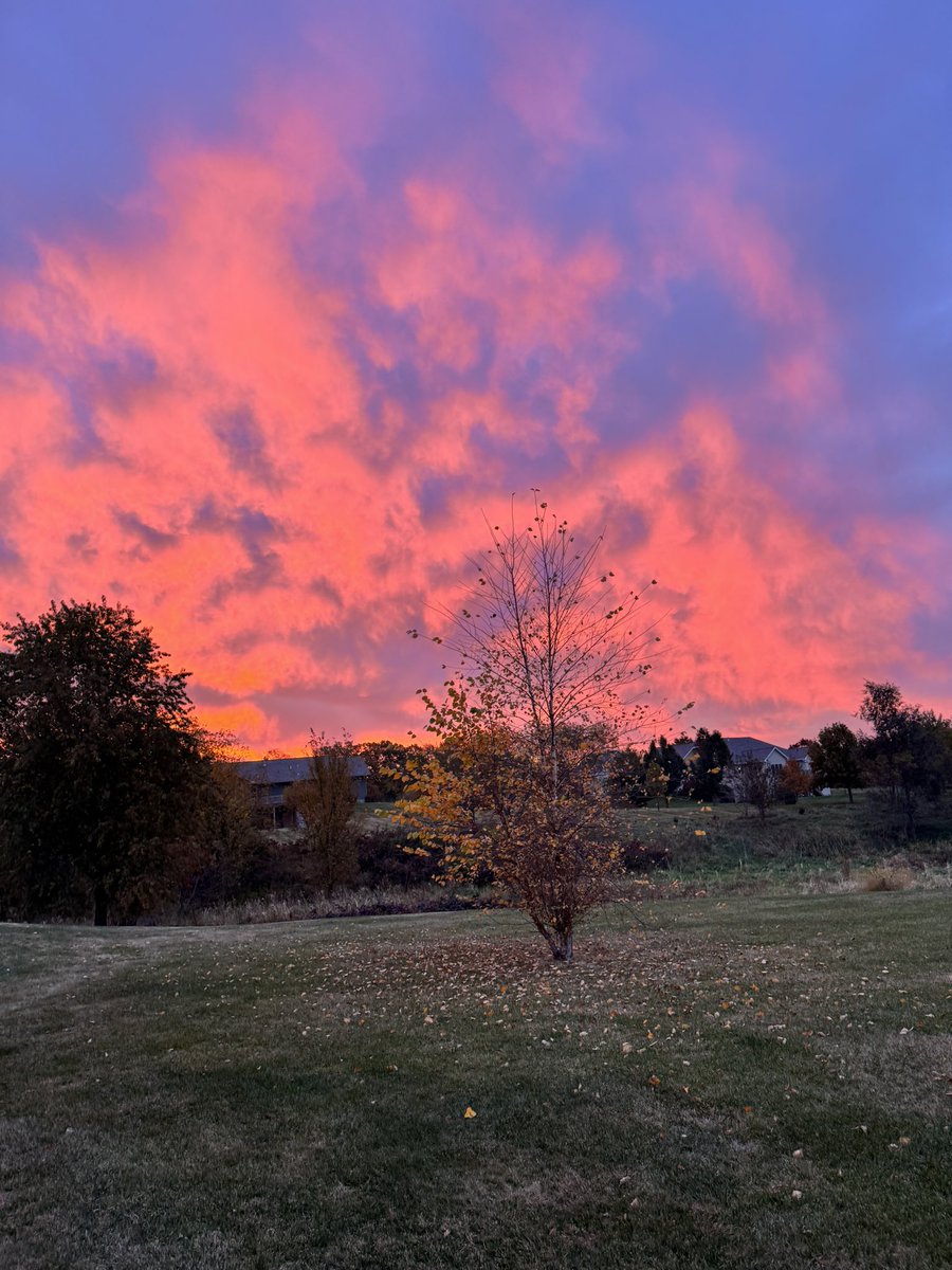 There are times I forget to look around and appreciate the beauty in life and nature and then I see something like this