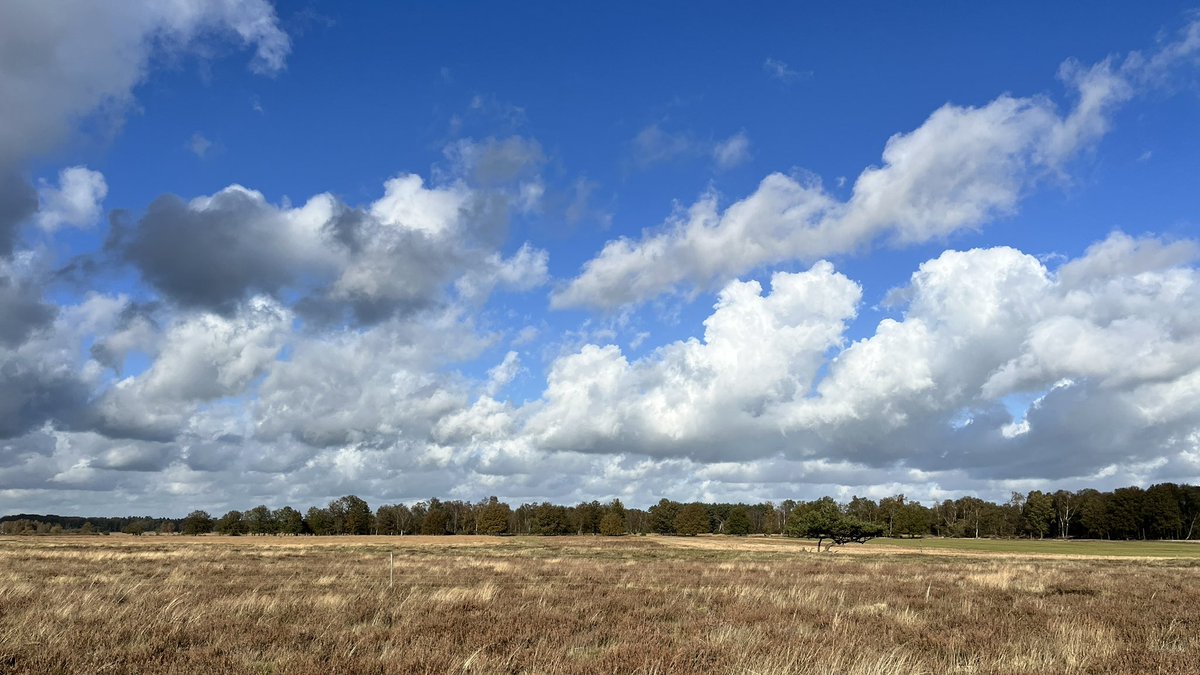mwildenberg's tweet photo. @NOS mooie Hollandse luchten boven t Dwingelderveld bij Ruinen.

#weerbericht #friswindje #herfst https://t.co/f1YO9j2sZZ