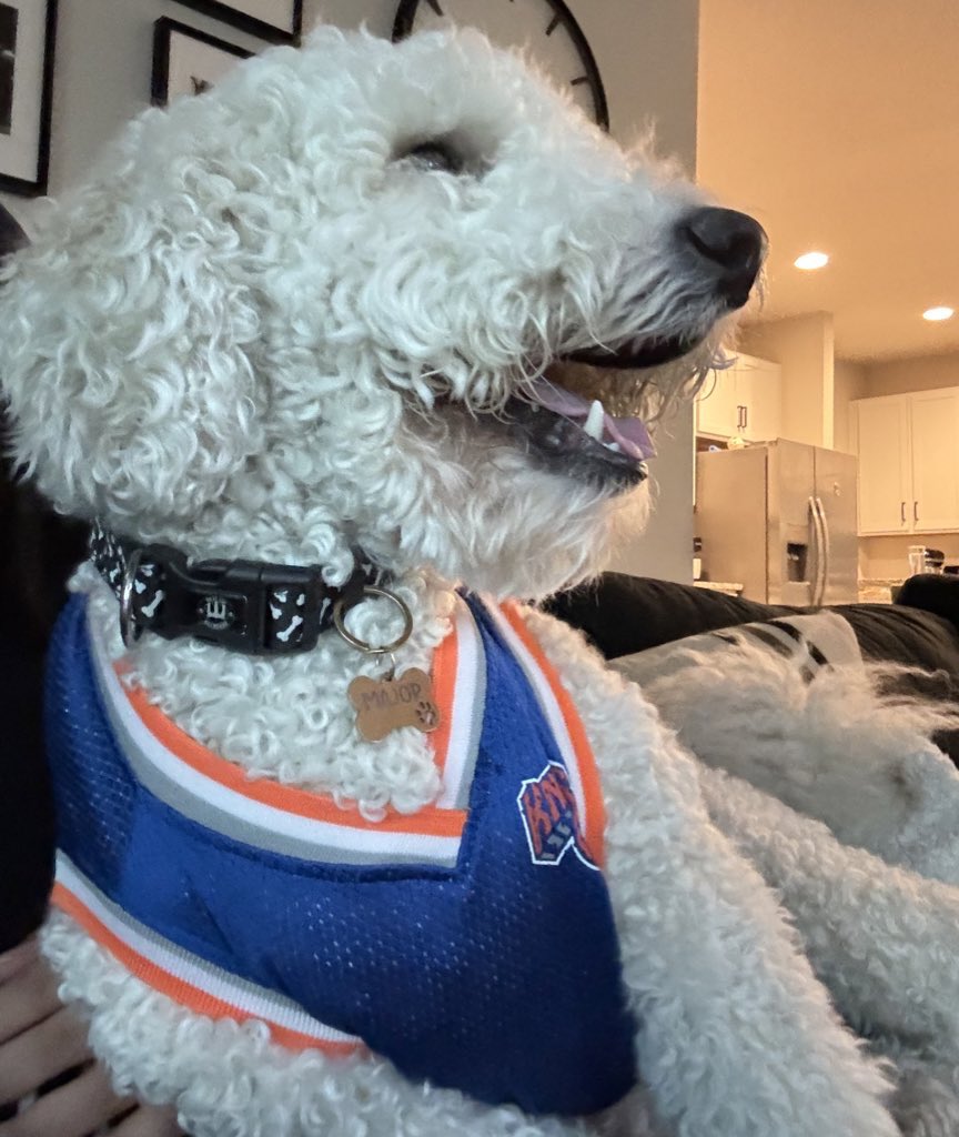 A_Izzy1's tweet photo. It’s that time of the year💙🧡 #Knicks #NBA https://t.co/vv0mdV04jt