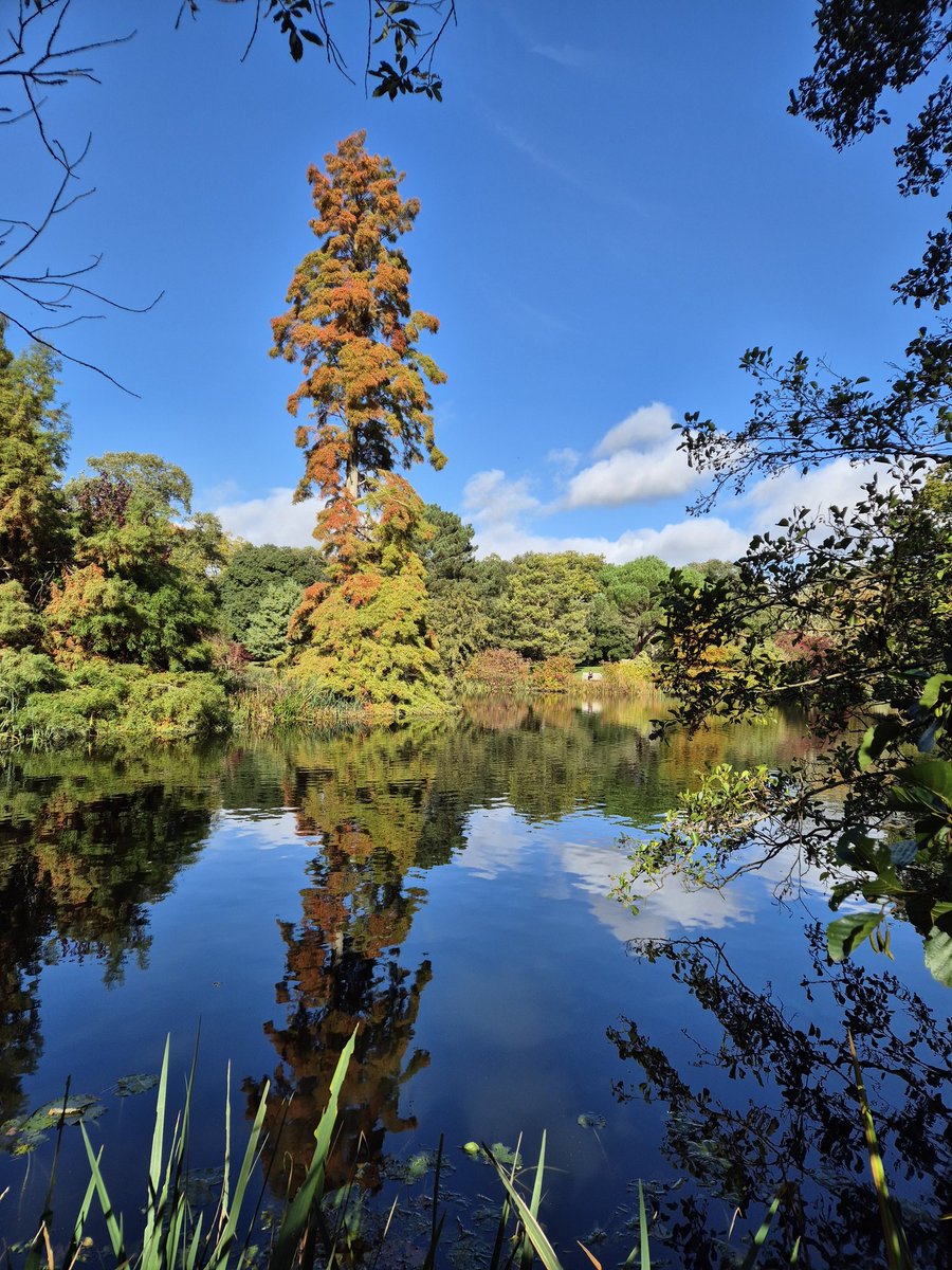 James Bulpin tweet media