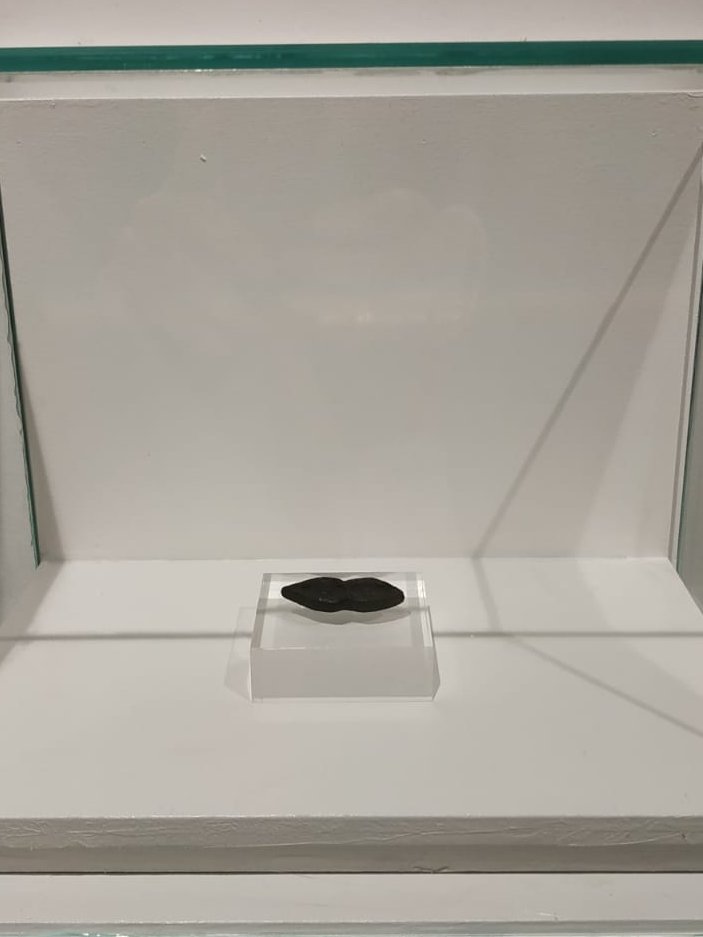 MuseuFMares's tweet photo. ✈️El #Museu ha cedit en préstec quatre exvots a l'exposició:
🖼️'Exvots: el camí, la promesa i el destí'
📍Museu de Pintura de Sant Pol de Mar
📆Fins el 26 de gener de 2025
ℹ️🔗 Més info a https://t.co/AKKFIVLFze
#préstec #Museu #exvots https://t.co/mU4114z2Qx