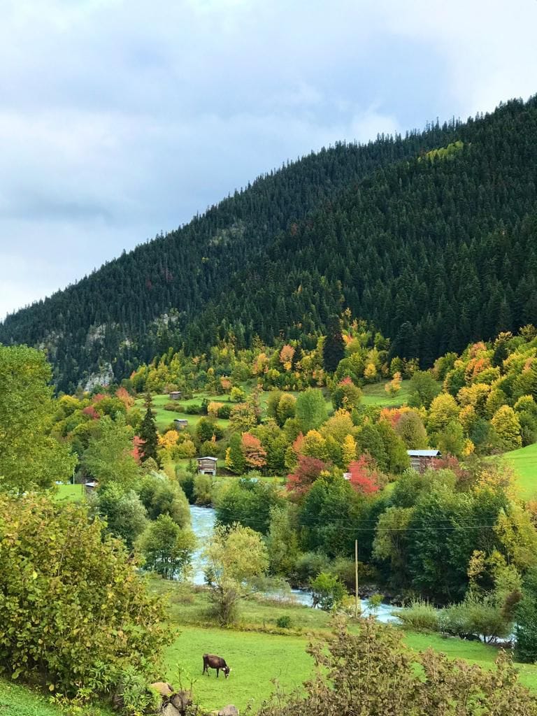 Artvin Şavşat Mısırlı Köyünden çok güzel bir sonbahar manzarası. Çekim Ömer Gümüş.