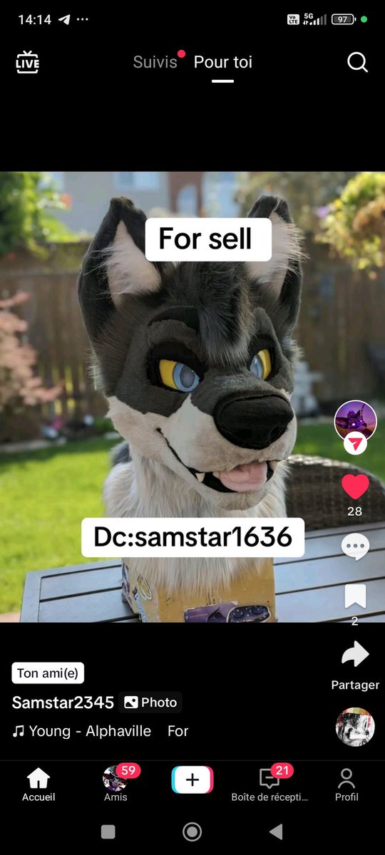 Mahikan OwO c'est quoi ça? 🔜 Furpoc tweet media