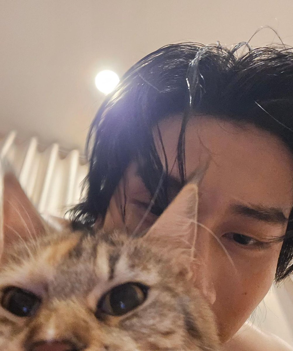 BibleItalia's tweet photo. 🖤 @biblesumett's IG post update
🗓 22.10.2024

"Akuma, say hi"
🇮🇹 Akuma, saluta

#bsumone #BibleWichapas  #bsumpets https://t.co/53ZV6m4DAy