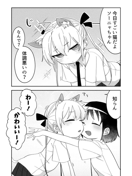 ねこソーニャ 