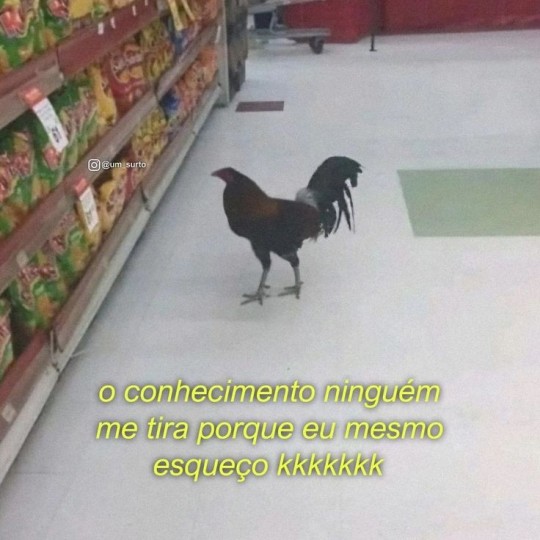 Pagina lixo (@paginalixo1) on Twitter photo 