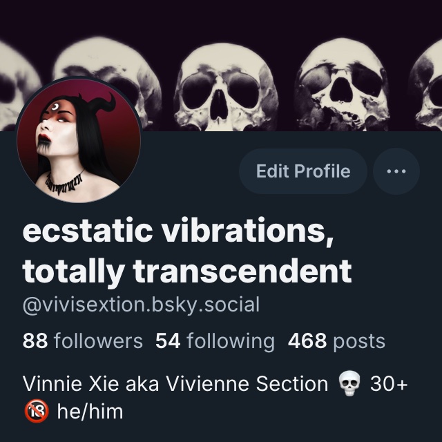 vivisextion's tweet photo. REMINDER: I’m mostly on Bluesky, come find me there 🫁 https://t.co/JjVvrQmfPa