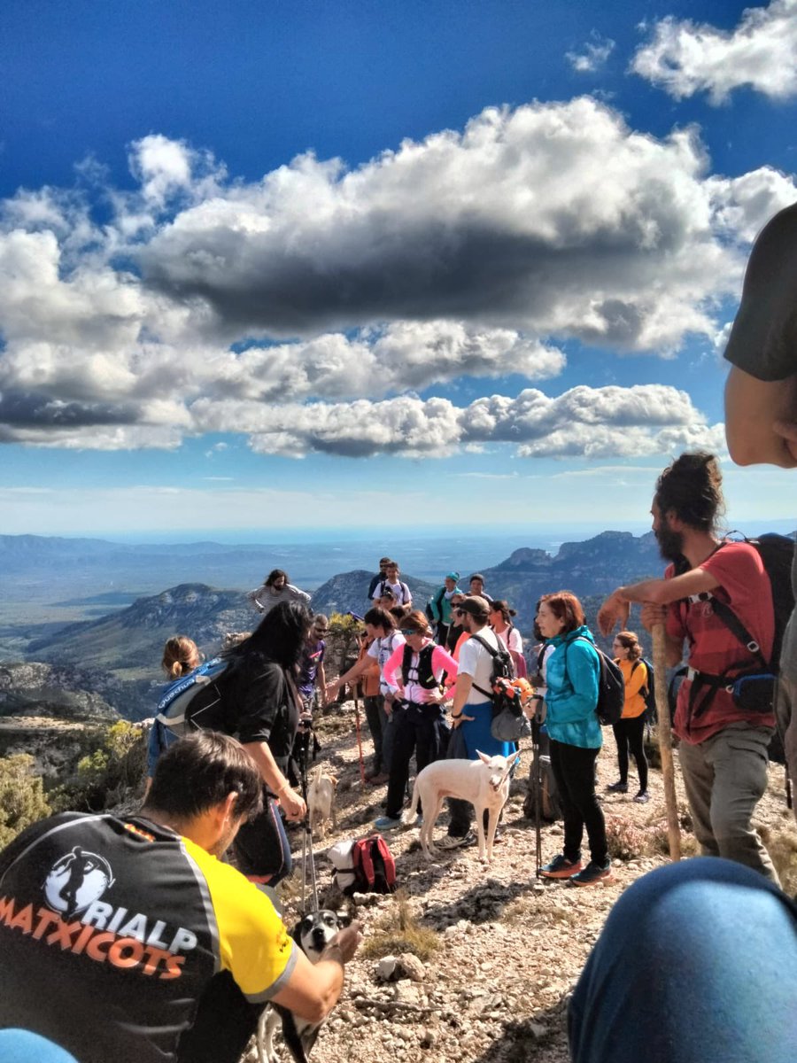 AjRoquetes's tweet image. 🧗🏻 𝗘𝗦𝗣𝗢𝗥𝗧𝗦 | 🥳 FELICITATS, #LAJOCACLUBALPÍ 🎂

➡️ El club d'#escalada i #senderisme de #Roquetes celebra el seu 4️⃣0️⃣è aniversari.

🌄 Amb caminada i pujada fins el cim de #LaJoca, i projecció del documental #InExtremis.

🙌🏻 Per molts anys més de muntanya i amistat❗️
