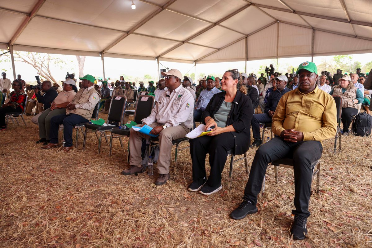 The President of #Mozambique , Filipe Jacinto  Nyusi, baptized a leopard in the #NiassaSpecialReserve with the name of "Dr. Legacy", during the celebrations of  the 70 years of the the oldest conservation area  in Mozambique:

mozambique.wcs.org/About-Us/News/…