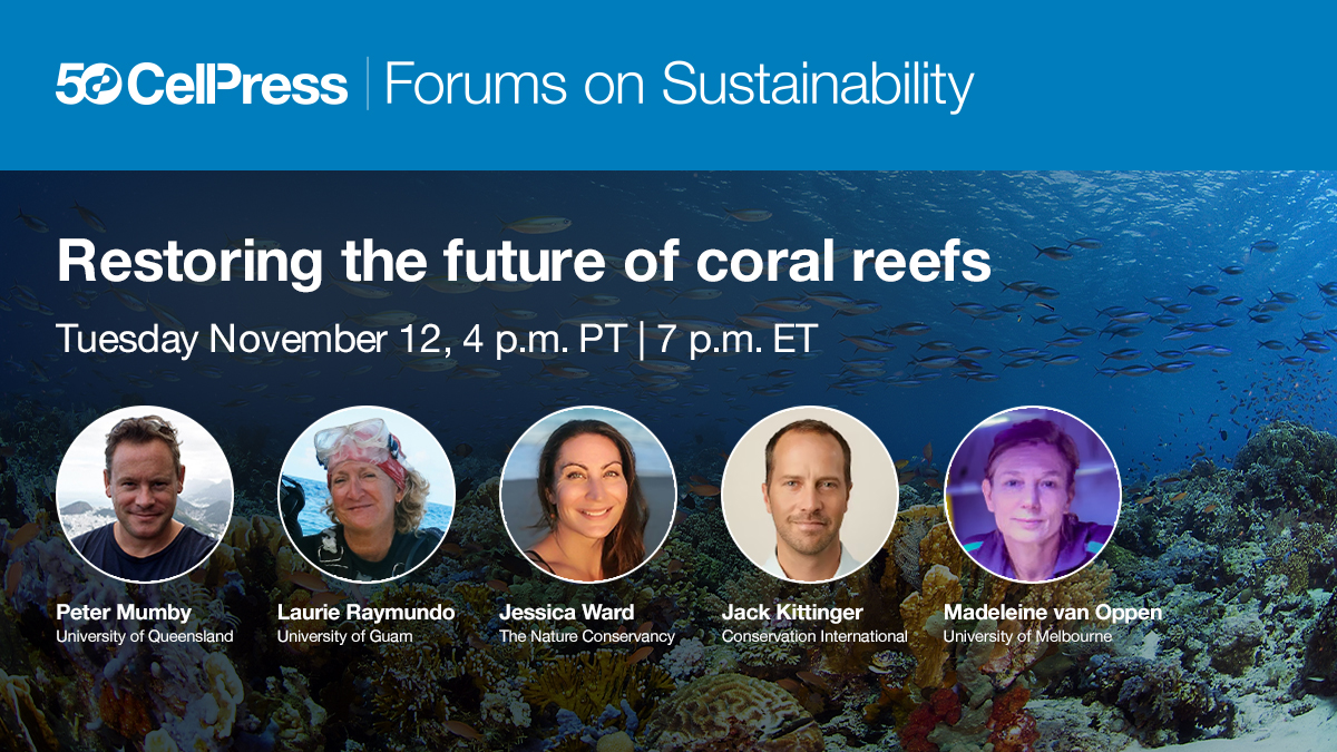 Do join our webinar on restoring the future of coral reefs, which will feature <a href="/petemumby/">Peter Mumby</a>, Laurie Raymundo, @spectacularia, Jessica Ward, &amp; <a href="/peopledseas/">Jack Kittinger</a>. Register to join live or be notified when the recording is ready!  bigmarker.com/cellpress-soci… <a href="/OneEarth_CP/">One Earth</a> <a href="/Trends_Ecol_Evo/">Trends in Ecology & Evolution</a>