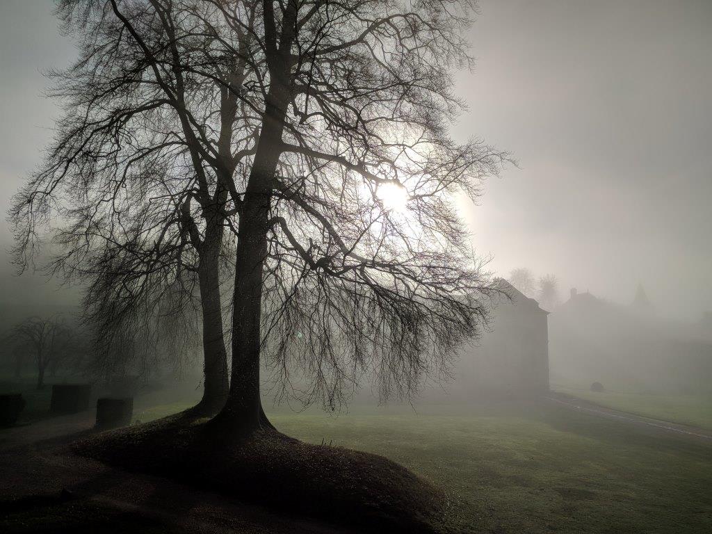 AbbayeNormandie's tweet photo. Lumière d'automne à l'abbaye Saint-Wandrille...
Autumn light at Saint-Wandrille Abbey...
#Normandie #SeineMaritime #Abbaye #Automne 
(Crédits photos : P.Pradié). https://t.co/Jz0dRc9G0p