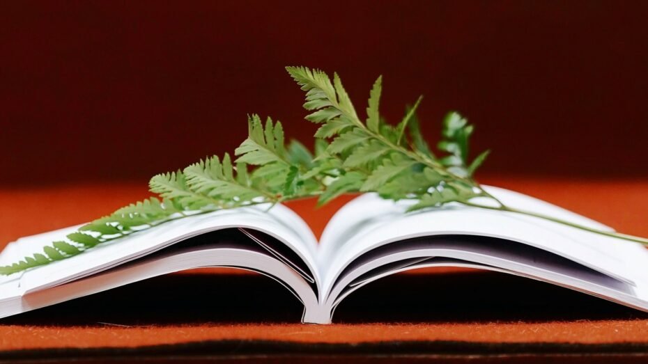 📖Call for Submissions: Turku Book Prize 2025 - ESEH &amp; <a href="/CarsonCenter/">Rachel Carson Center</a>  

eseh.org/call-for-submi… 

📖For monograph in European #envhist published in 2023-2024