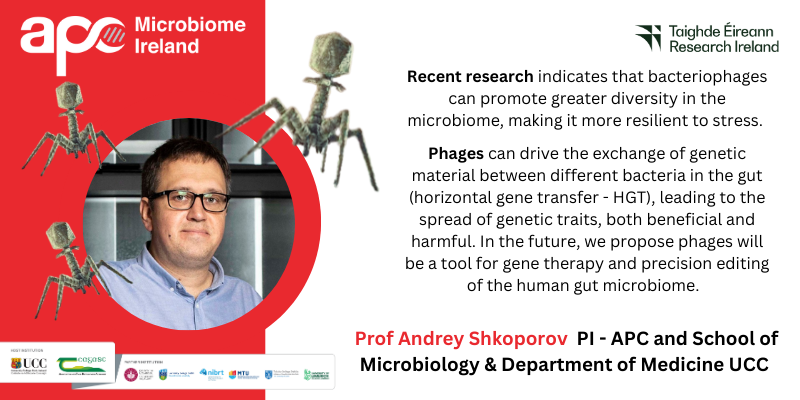 Pharmabiotic's tweet photo. For World Phage Day Prof Andrey Shkoporov gives some insights into his research.
#WorldPhageDay #WorldPhageWeek
@AGEofthePHAGE @UCCresearch
@Researchirel @AShkoporov @UccMicrobiology @UCCMedHealth @SEFSUCC https://t.co/AEaYsltvKG
