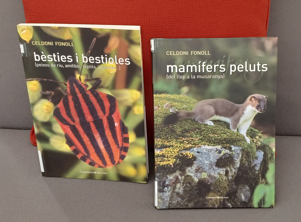 Bctuab's tweet photo. 📚#BCTrecomana 2⃣ poemaris de Celdoni Fonoll:

🐅Mamífers peluts (del llop a la musaranya)
🔗https://t.co/Xi5Lqowv8S

🦎Bèsties i bestioles (peixos de riu, amfibis, rèptils, insectes...)
🔗https://t.co/g2PizJnK5r

#ciènciaxllegirBCT #CiènciaiPoesia #FonsLynx @Cossetania https://t.co/HGefZrXZN8