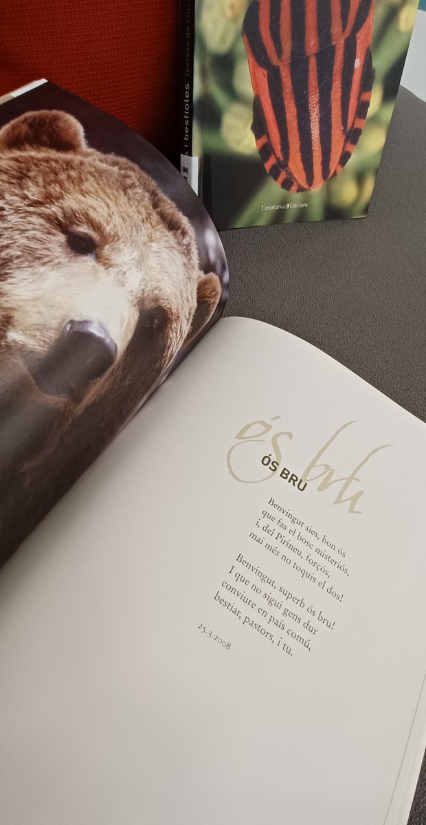 Bctuab's tweet photo. 📚#BCTrecomana 2⃣ poemaris de Celdoni Fonoll:

🐅Mamífers peluts (del llop a la musaranya)
🔗https://t.co/Xi5Lqowv8S

🦎Bèsties i bestioles (peixos de riu, amfibis, rèptils, insectes...)
🔗https://t.co/g2PizJnK5r

#ciènciaxllegirBCT #CiènciaiPoesia #FonsLynx @Cossetania https://t.co/HGefZrXZN8