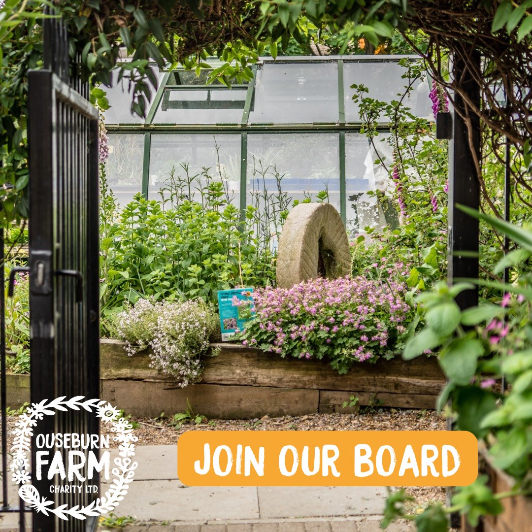 OuseburnFarm's tweet photo. 📣 Calling all environmentalists, farmers, gardeners and… accountants! ⁠We're recruiting trustees! No experience as a trustee? Don’t worry! We’ll provide a full induction to help you understand the farm’s work and your role.⁠⁠ Find out more: https://t.co/6xftdVzIST https://t.co/5fpXCxvSMr