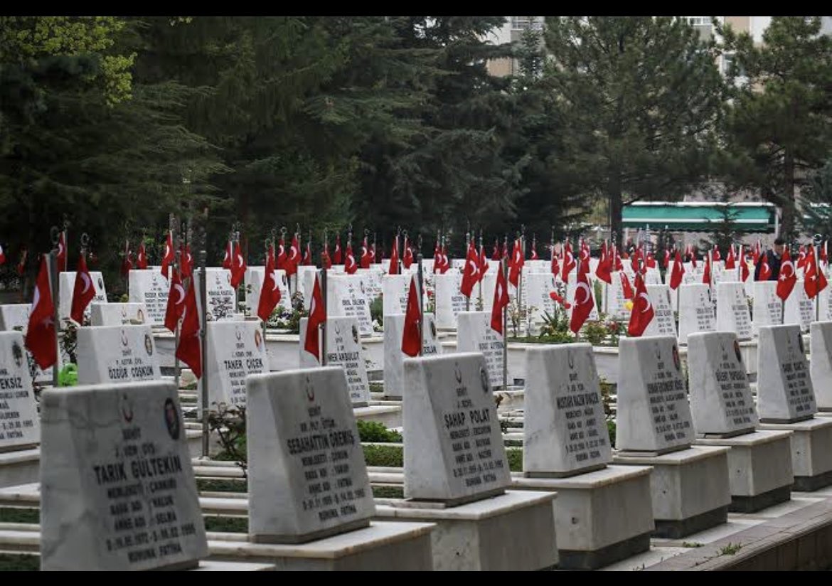 Bastığın yerleri “toprak” diyerek geçme, tanı,
Düşün altındaki binlerce kefensiz yatanı!!!

İncitme aziz şehitlerin kemiklerini, bizlerin  vicdanını…