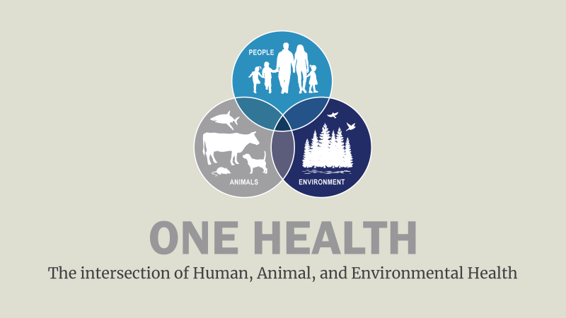 Want to get some awesome CE in One Health?  Registration is NOW OPEN for the FDA's 2024 One Health Virtual Symposium on 19 November :  ow.ly/eBY550TQexU
#OneHealth #ACVPM #fda