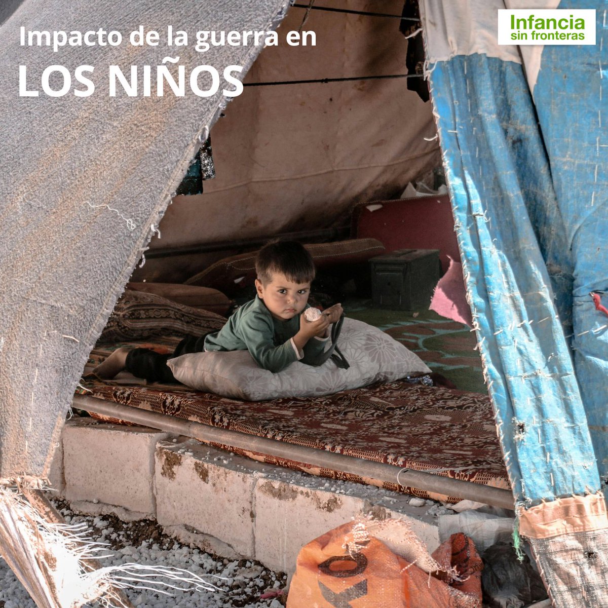 InfanciasinFronteras tweet media