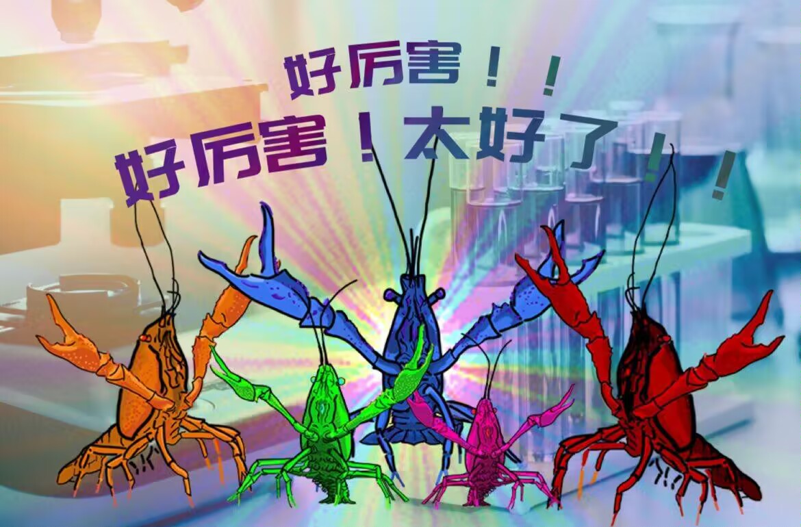 Kronos艾 tweet media