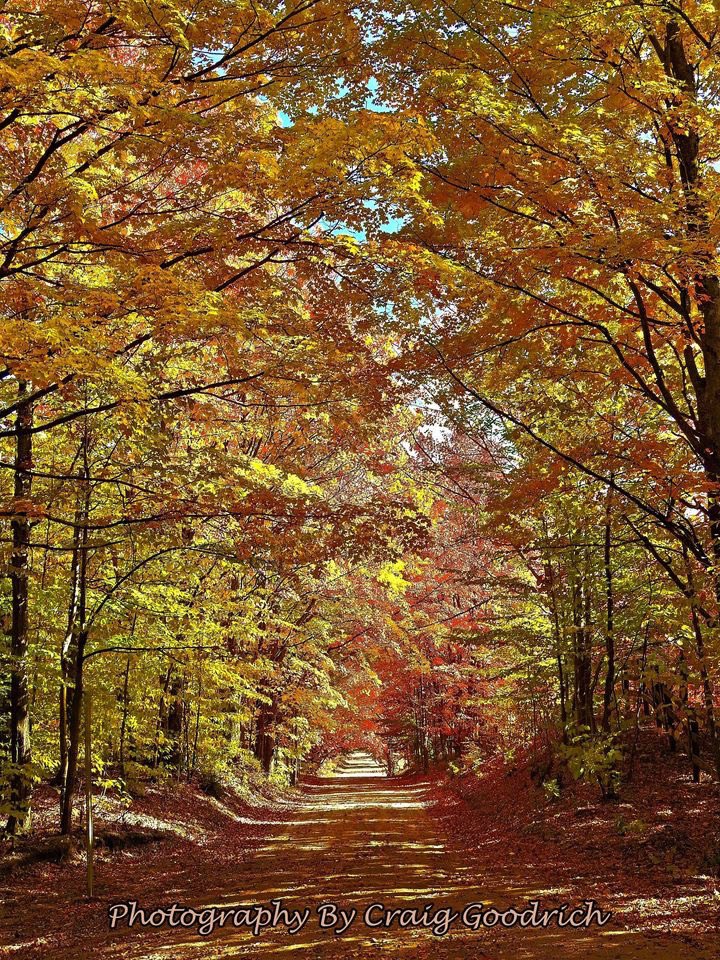 ByGoodrich's tweet image. I took a ride on some seasonal roads in Kalkaska County and stopped to capture this photo, our own tunnel of trees.  #tunneloftrees