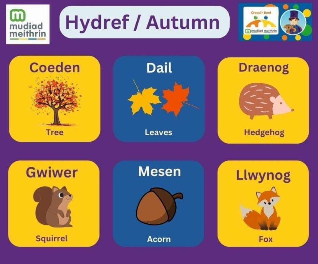 Geirfa Cymraeg yr Hydref - Rhowch gynnig arni! 🍂🍁🦔