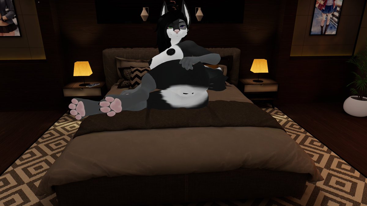 Once upon a time, Coal was an innocent young fluffball...times can change one's self. From young and shy to large and "Mommy" for some.