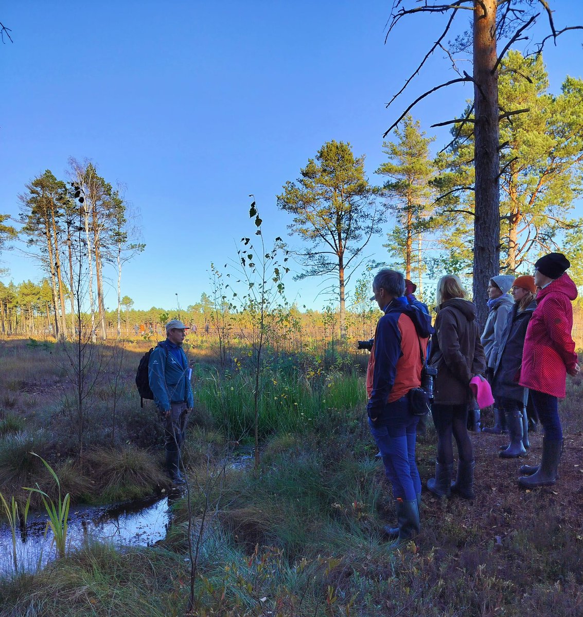 Peatscapes tweet media