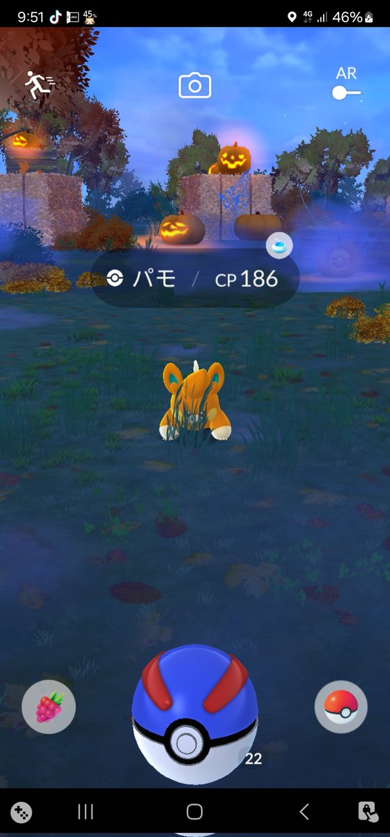 パモかわいちょー(´･･`)笑