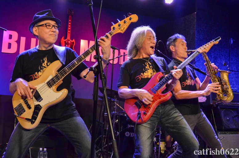 catfish0622's tweet image. 【10/17(木)Artist Support Aid presents【1% Overd Live Vol.5.3】3】
15分ほどの転換を挟み「🔥で🐟を焼いちゃう？」な #FireAttack が登場。チャンジー(じいちゃん)ズ+それ(還暦)まで未だ7年の村上さんで、熱く突っ走ります。
#渡辺ファイアー #アタック松尾 #村上広樹 #石川俊介
※再配布等禁止