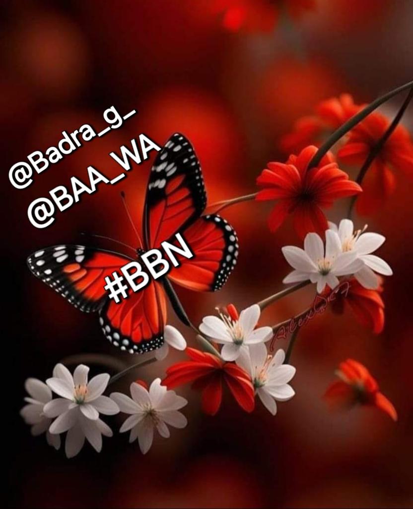 KHAN G (@khg_82) on Twitter photo Best Team Of #BBN F4FB💯
<a href="/baw_26/">💫❤_باوا_جی_لاہور_❤✌</a> 🎂<a href="/Badra_g_/">🦋 بدرا____راجپوت🦋</a>💎
🌹@Nysar7 <a href="/khg_82/">KHAN G</a>
<a href="/Faa__27/">KAMLI_KURRI</a>
<a href="/26Mn4/">💞eqra💞</a>
<a href="/_Esha_2/">꧁❤️𝕰shค❤️꧂</a>
<a href="/B__786/">•○●○•بدرا____راجپوت•○●○•</a>
<a href="/Q_261/">👑 𝑄𝑢𝑒𝑒𝑛 👑</a>
<a href="/Biak0_/">Bia khAn</a>
<a href="/4Rjpt/">🔴𝐒ᴀɴᴀ 𝐑ᴀᴊᴘᴏᴏᴛ🔴</a>
<a href="/Aly9a/">Aly9a</a>
<a href="/PK50K/">Saher</a>
<a href="/1Mlkani/">🫀✨بـــــاوا کی دیــــــوانی✨🫀</a>
<a href="/Arr_osh/">💫🌺ARR_OSH🌺💫</a>
<a href="/RE_JA1/">🌷Rejhaa🌷</a>
<a href="/1Mahii1/">Memonaa</a>
<a href="/AAK_0S/">🥀عـͫــͣــͥــقیل احمد خان🌷</a>
<a href="/1fazl2/">Imran khan</a>
@um_r_7
<a href="/1Nz25/">محمد وآل الملاهي</a>
@1Nz27
@M804_ik
<a href="/IG804/">Shumaila Ali</a>
<a href="/ZBU_10/">◼◾◾▪️❤️ پگلا__دیوانہ ❤️▪️◾◼⬛</a>
<a href="/YPS26/">𝑌𝑎𝑆𝑖𝑅 𝑆𝒉𝑎𝒉𝑍𝑎𝐷</a>
<a href="/Znt33/">🦋ZêēñäT</a>
<a href="/ZBU_10/">◼◾◾▪️❤️ پگلا__دیوانہ ❤️▪️◾◼⬛</a>
<a href="/1malik04/">ملك قاسم PTI</a> Best Team Of #BBN F4FB💯
<a href="/baw_26/">💫❤_باوا_جی_لاہور_❤✌</a> 🎂<a href="/Badra_g_/">🦋 بدرا____راجپوت🦋</a>💎
🌹@Nysar7 <a href="/khg_82/">KHAN G</a>
<a href="/Faa__27/">KAMLI_KURRI</a>
<a href="/26Mn4/">💞eqra💞</a>
<a href="/_Esha_2/">꧁❤️𝕰shค❤️꧂</a>
<a href="/B__786/">•○●○•بدرا____راجپوت•○●○•</a>
<a href="/Q_261/">👑 𝑄𝑢𝑒𝑒𝑛 👑</a>
<a href="/Biak0_/">Bia khAn</a>
<a href="/4Rjpt/">🔴𝐒ᴀɴᴀ 𝐑ᴀᴊᴘᴏᴏᴛ🔴</a>
<a href="/Aly9a/">Aly9a</a>
<a href="/PK50K/">Saher</a>
<a href="/1Mlkani/">🫀✨بـــــاوا کی دیــــــوانی✨🫀</a>
<a href="/Arr_osh/">💫🌺ARR_OSH🌺💫</a>
<a href="/RE_JA1/">🌷Rejhaa🌷</a>
<a href="/1Mahii1/">Memonaa</a>
<a href="/AAK_0S/">🥀عـͫــͣــͥــقیل احمد خان🌷</a>
<a href="/1fazl2/">Imran khan</a>
@um_r_7
<a href="/1Nz25/">محمد وآل الملاهي</a>
@1Nz27
@M804_ik
<a href="/IG804/">Shumaila Ali</a>
<a href="/ZBU_10/">◼◾◾▪️❤️ پگلا__دیوانہ ❤️▪️◾◼⬛</a>
<a href="/YPS26/">𝑌𝑎𝑆𝑖𝑅 𝑆𝒉𝑎𝒉𝑍𝑎𝐷</a>
<a href="/Znt33/">🦋ZêēñäT</a>
<a href="/ZBU_10/">◼◾◾▪️❤️ پگلا__دیوانہ ❤️▪️◾◼⬛</a>
<a href="/1malik04/">ملك قاسم PTI</a>