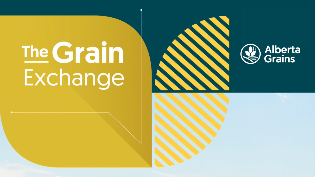 Alberta Grains tweet media