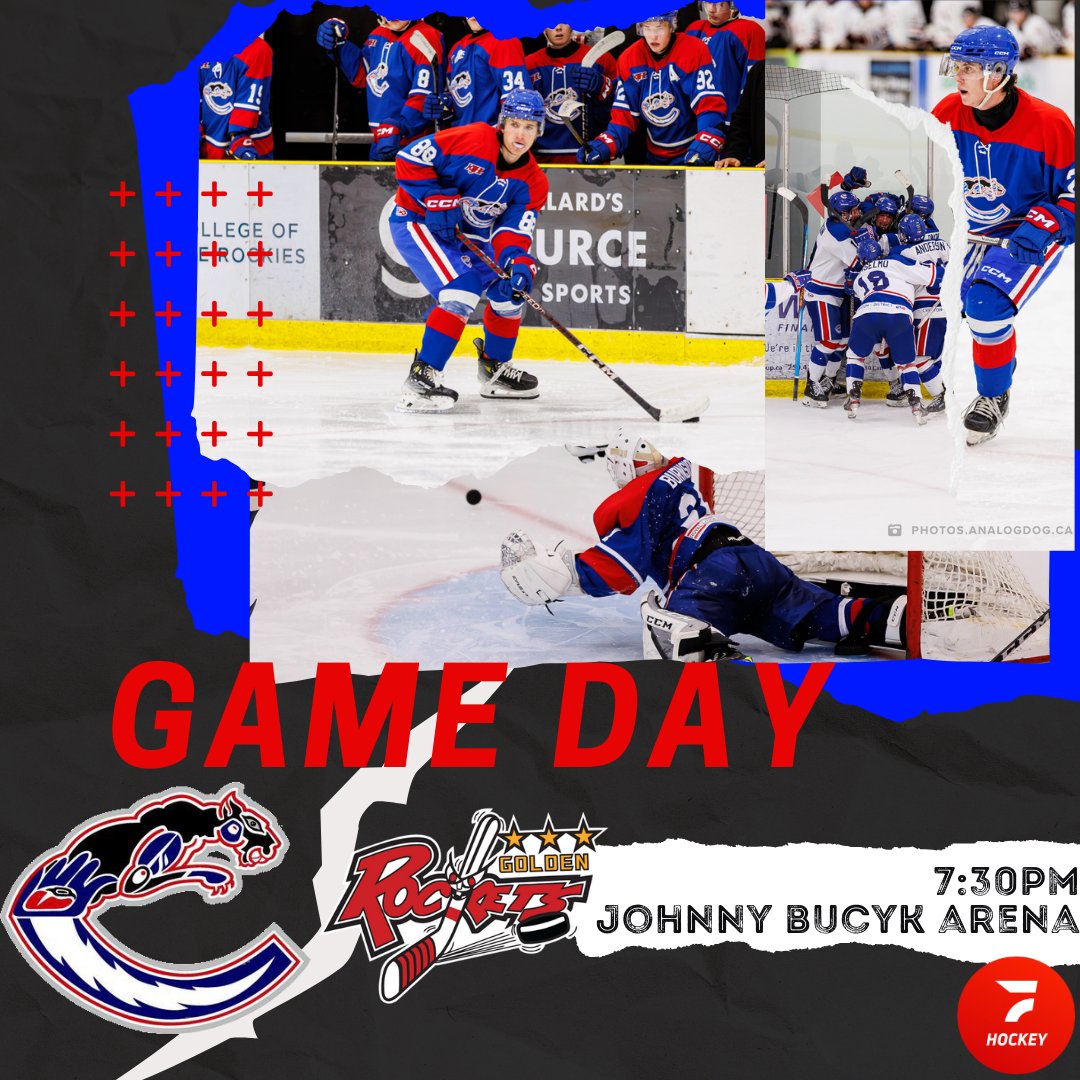 ✴️ GAME DAY ✴️ 

Tuesday tussle at the Johnny.

Puck drops @ 7:30

Beat the line, get your tickets with Showpass!

Can't come in person? Watch online at flohockey.com

📸Like the pics? There's more where they came from with Analog Dog photos. Link is in our profile.