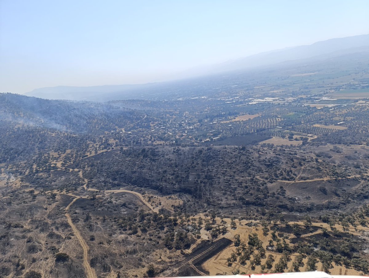 #OrmanaMühendisLazım demek #YeşilVatanSavunması demek biz her daim sahada olmaya devam edecez <a href="/HTurkyilmazOMO/">Hasan Türkyılmaz</a> <a href="/ibrahimyumakli/">İbrahim Yumaklı</a> <a href="/TocBirSenGM/">TOÇ BİR-SEN</a>