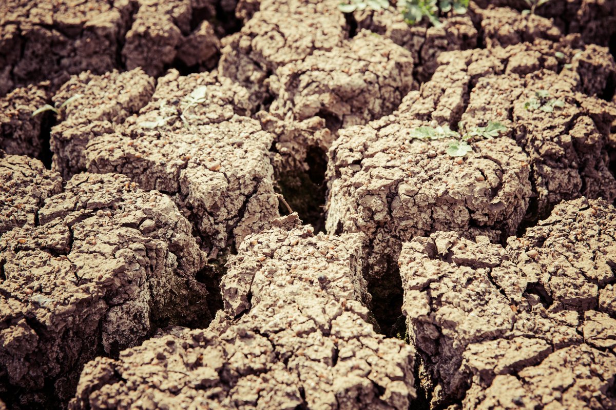 UBC SPPGA (@ubcsppga) on Twitter photo Prof. Sara Shneiderman (<a href="/sshneiderman/">Sara Shneiderman</a>) (SPPGA; <a href="/UBCAnth/">UBC Anthropology</a>) delves into Canada’s nationwide preparation for natural disasters amidst BC’s recent earthquakes, stressing the importance of practicing safety procedures. Watch via <a href="/CTVVancouver/">CTV News Vancouver</a>: bit.ly/4eUnjpe Prof. Sara Shneiderman (<a href="/sshneiderman/">Sara Shneiderman</a>) (SPPGA; <a href="/UBCAnth/">UBC Anthropology</a>) delves into Canada’s nationwide preparation for natural disasters amidst BC’s recent earthquakes, stressing the importance of practicing safety procedures. Watch via <a href="/CTVVancouver/">CTV News Vancouver</a>: bit.ly/4eUnjpe