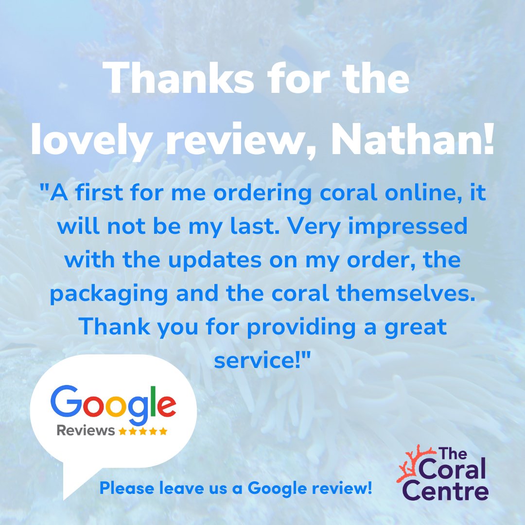 We always appreciate our customers taking the time to leave such wonderful feedback! 💬

We make sure every order is handled with care. 🪸

Browse our coral here ➡️ heyor.ca/bxCywf