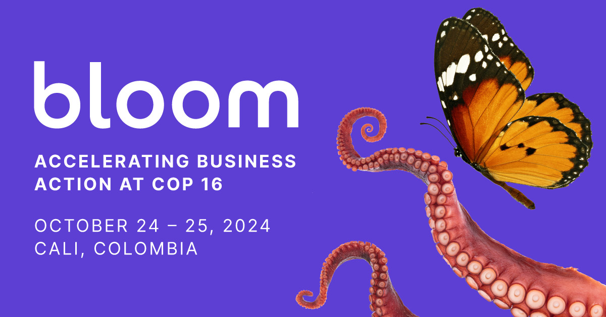Tandem Global (formerly WHC and WEC) (@tandemglobalorg) on Twitter photo Join us at #Bloom24 (Oct 24-25, Cali, Colombia) hosted by @TrellisGroup_ alongside #COP16 to operationalize ambitious nature strategies. Request your invitation: buff.ly/44AMwRk Join us at #Bloom24 (Oct 24-25, Cali, Colombia) hosted by @TrellisGroup_ alongside #COP16 to operationalize ambitious nature strategies. Request your invitation: buff.ly/44AMwRk