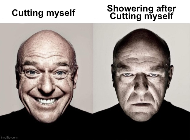 ashencals's tweet image. 