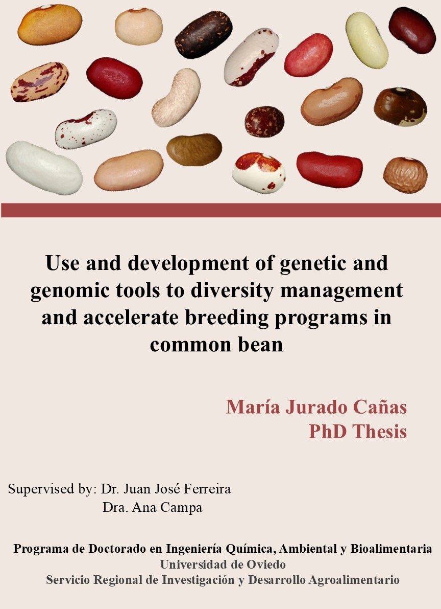 SeridaAst's tweet photo. 🚀 El próximo lunes 28 de octubre tendrá lugar la lectura de la Tesis Doctoral de María Jurado Cañas: 
🗣️ Uso y desarrollo de herramientas genéticas y genómicas para la gestión de la diversidad y acelerar programas de mejora en judía.
📍 Facultad de Biología, de @uniovi 
⏰11 h. https://t.co/g2Hrojrs1p