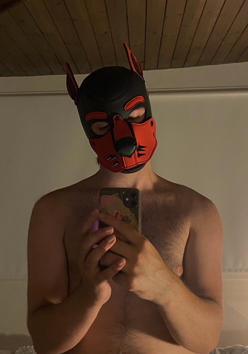 Nylo_pup_ tweet media