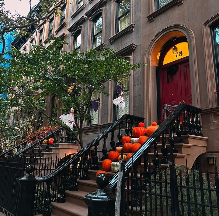 iq collection tweet media