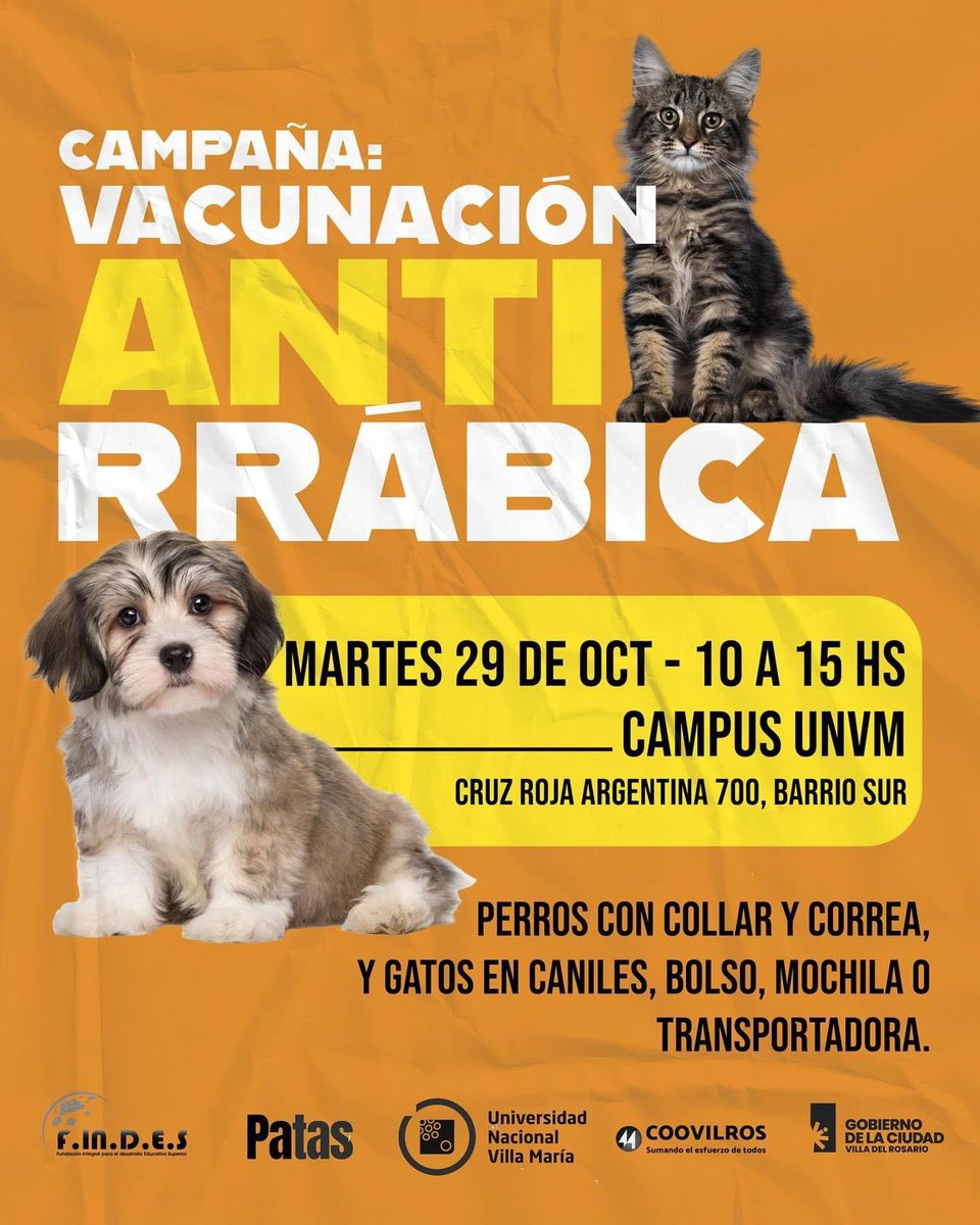 Campaña: Vacunación Antirrábica 🐶🐱

📅 Martes 29 de Octubre 
🕙 de 10:00 a 15:00 hs 
📍 Campus UNVM, Cruz Roja Argentina 700, Barrio Sur. 

👉🏻 Traer perros con collar y correa, y gatos en caniles, bolso, mochila o transportadora. 

¡Los esperamos!