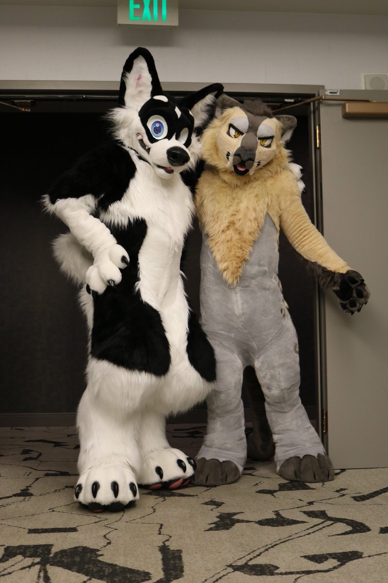 Just look at these two fellas, who wants to come hang with us ?

Looks like my next con may be MFF (still planning) who will i see their ? Since i would be driving, will have multiple suits plus some new ones their if anyone wants to meet up or suit swap / fursuit swap.

Photo