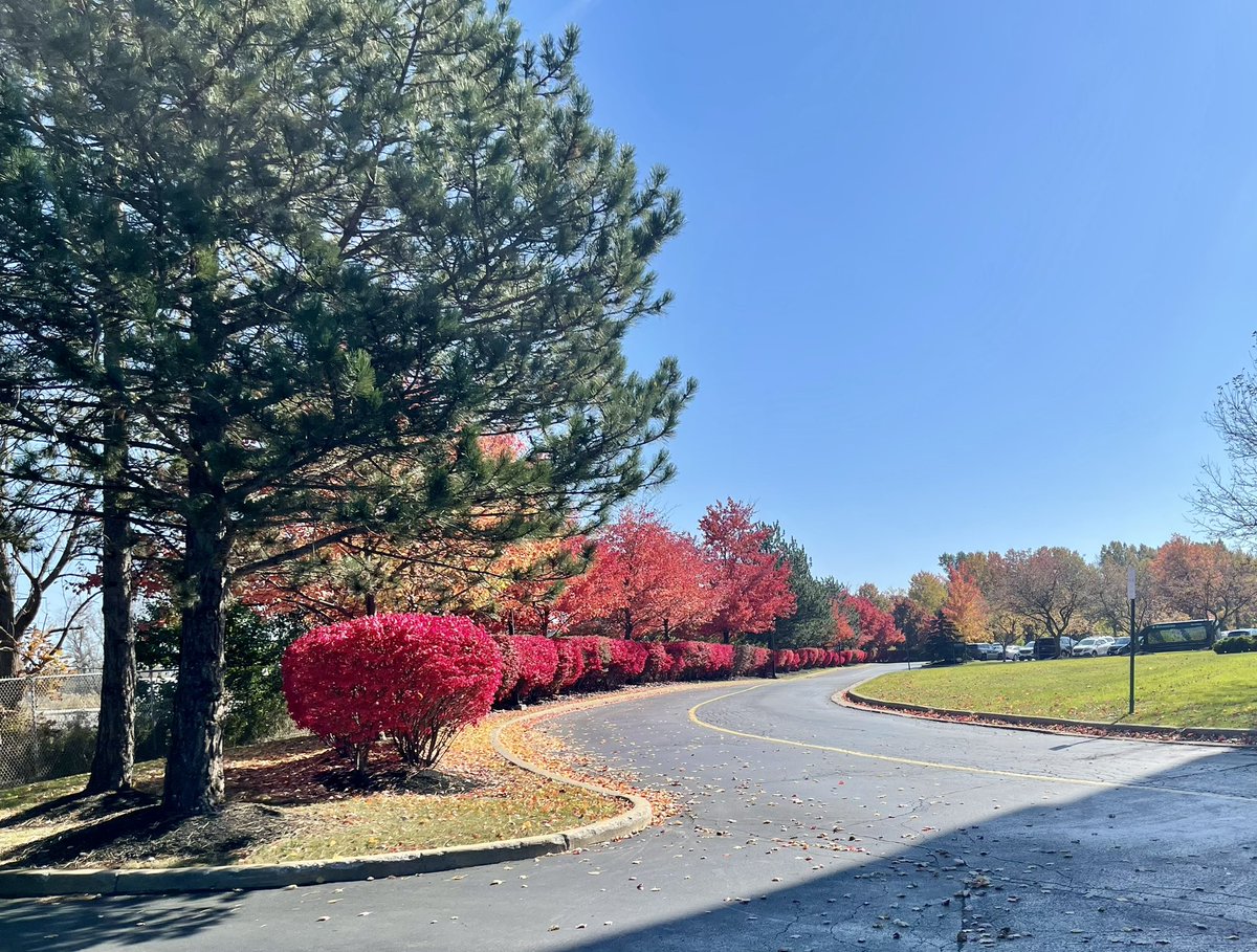 It’s a beautiful day in this neighborhood. A beautiful day for a neighbor. Could you be next <a href="/UnilandDevCo/">Uniland Development Company</a> University Corporate Centre at Amherst. Call or email for details.