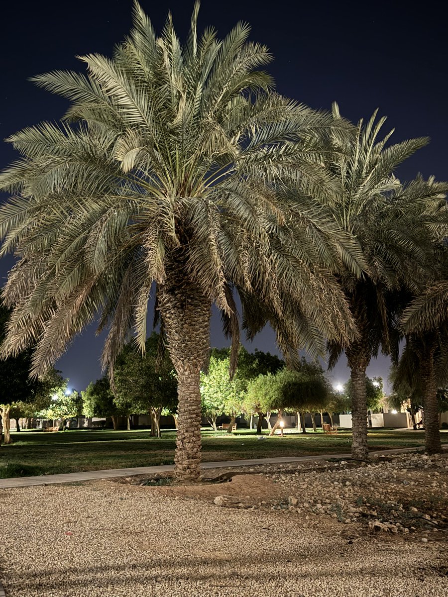 imhiabh's tweet photo. « أنا لـيّ فالله حسن ظنّ و رجـا و آمـال
كـأني أشوف أقداره البيض . . قدّامي 🤍 ». https://t.co/Bxn5wRNy9u